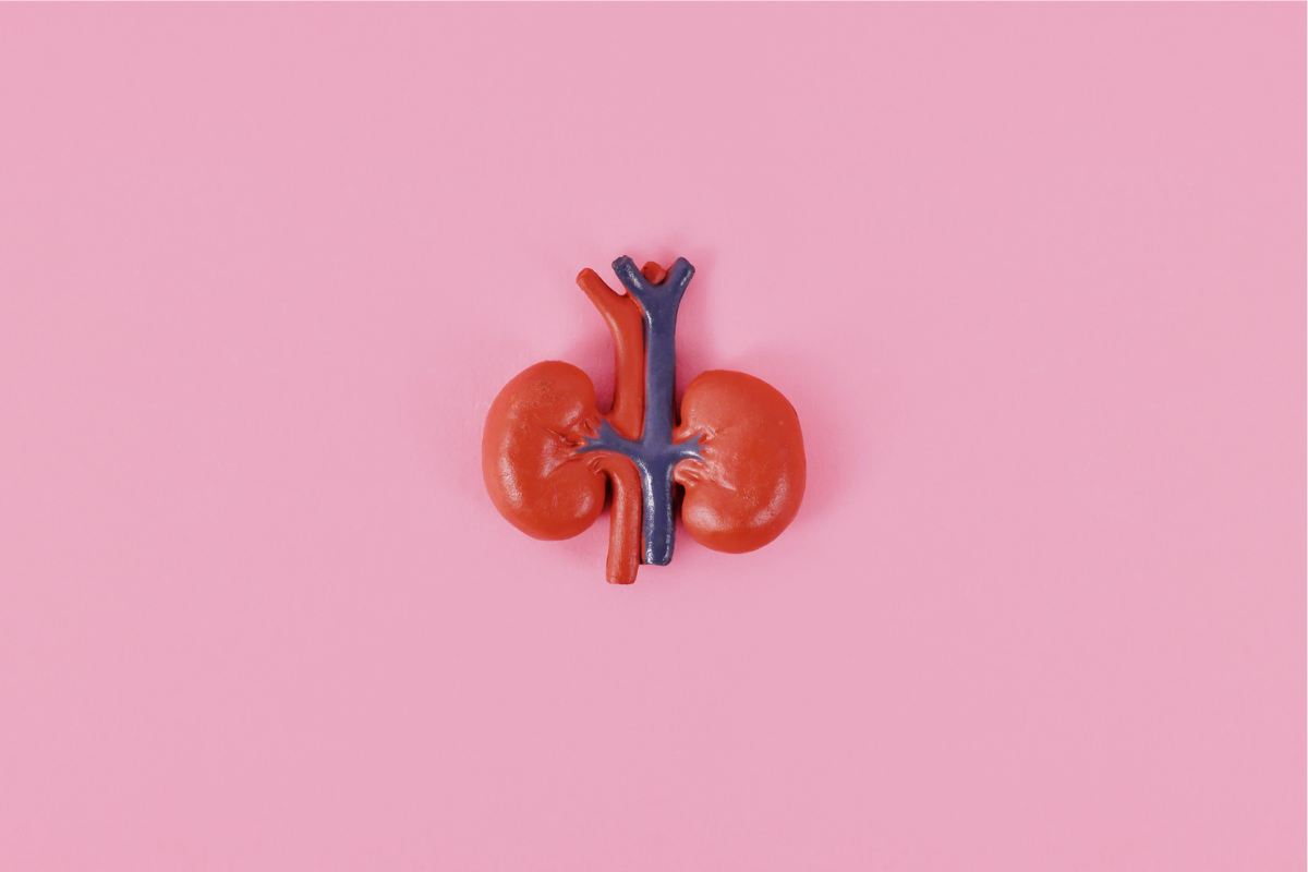If Your Kidneys Are In Danger, Your Body Will Give You These 7 Signs